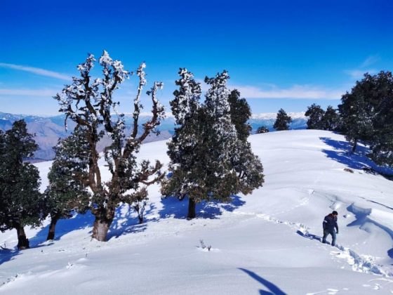 Nag Tibba Trek The Great Short Trek