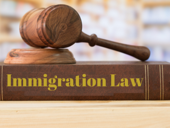 Immigration lawyer