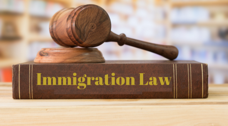 Immigration lawyer