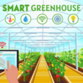 Greenhouse Automation System