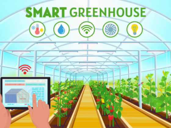 Greenhouse Automation System