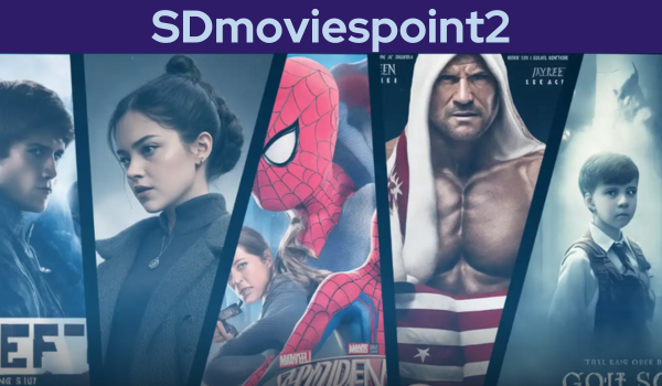 SDmoviespoint2